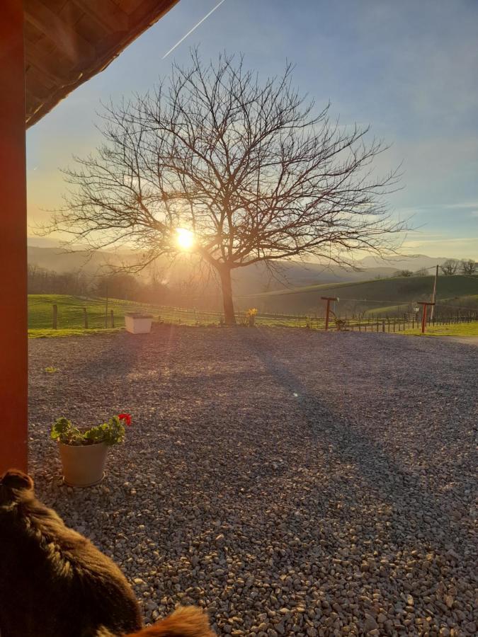 Gite A La Ferme Larranda Suhescun Εξωτερικό φωτογραφία